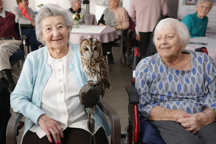 Bird is the word! Orpington care home residents spread their wings to celebrate the best of British birds